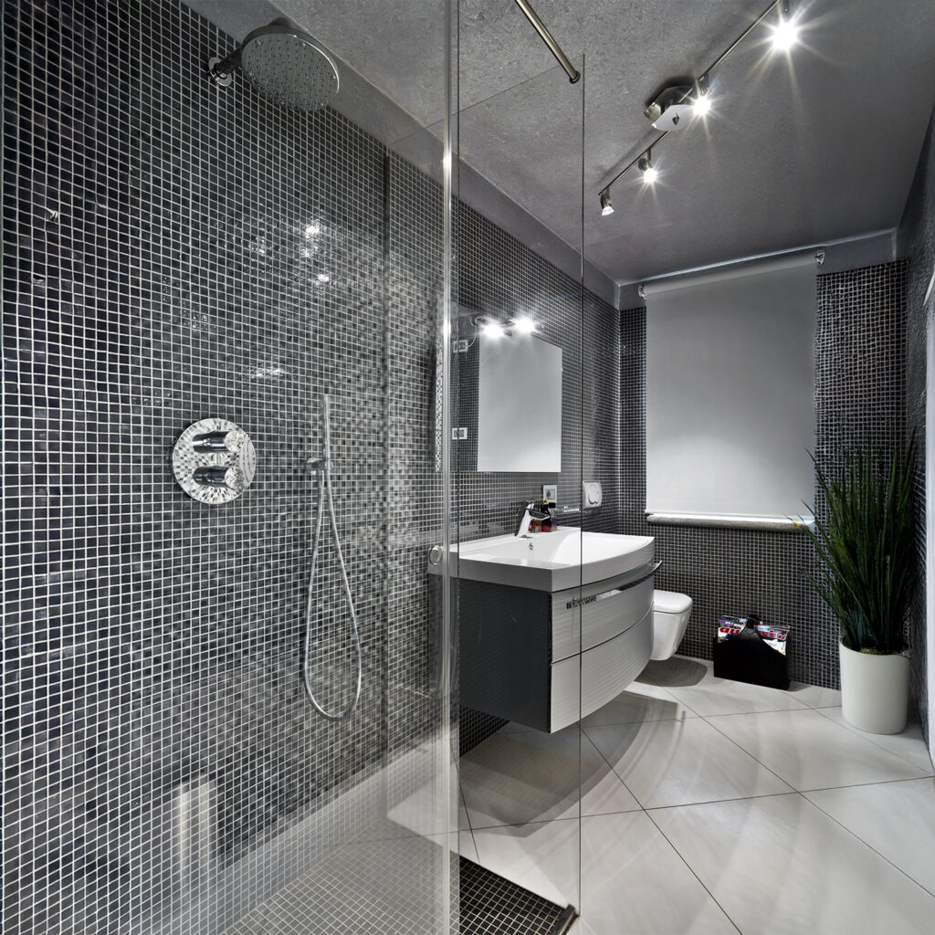 Frameless shower 1
